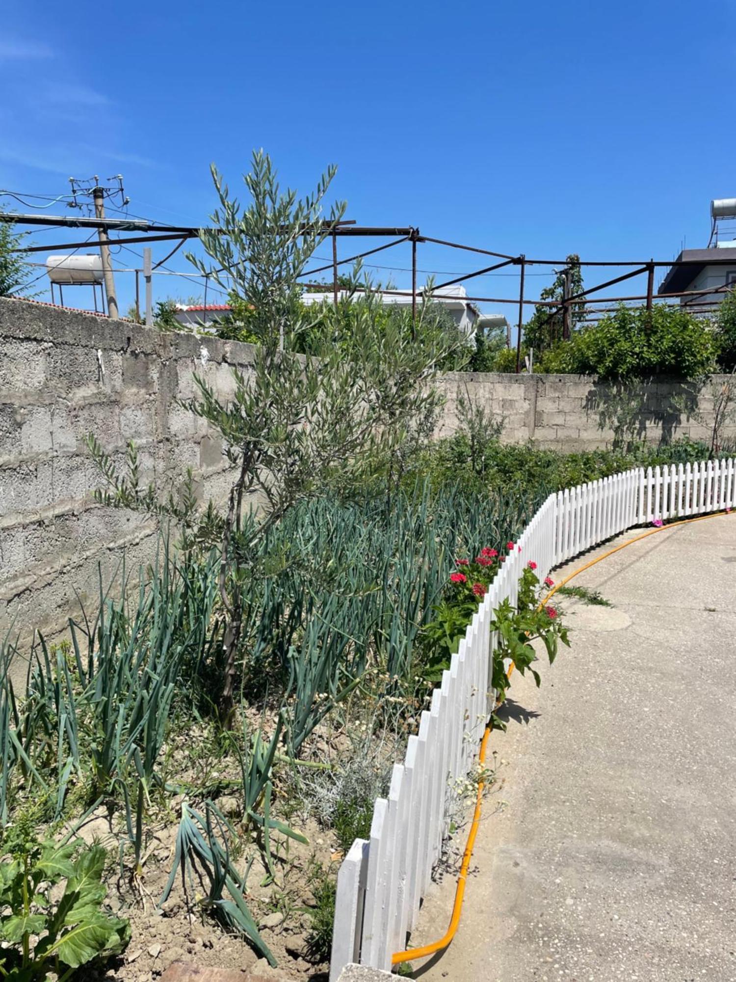 Rental Houses Dukaj Vlorë Екстериор снимка